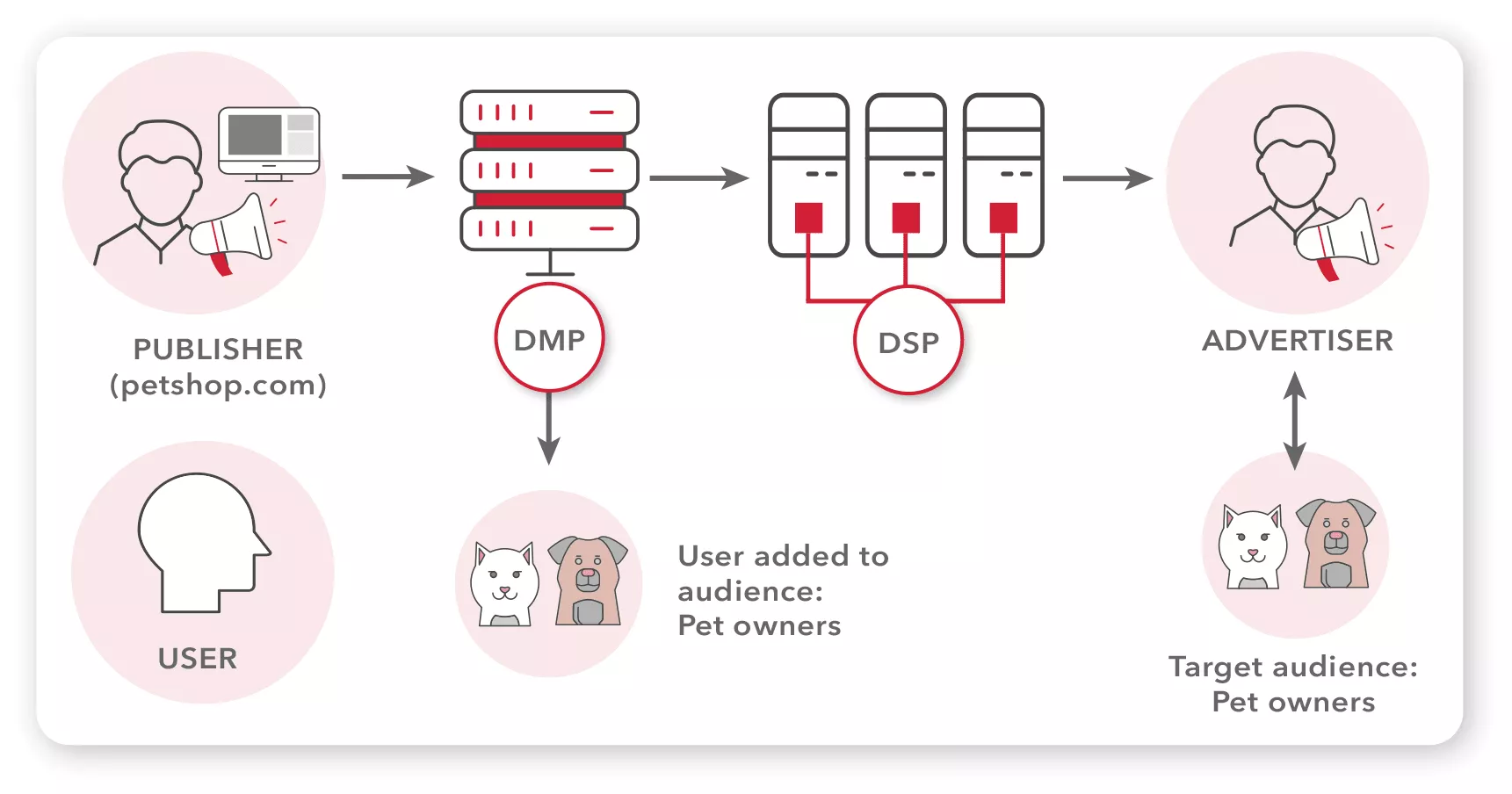 Come funziona DMP - Blog di Admixer