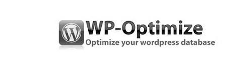 WP Optimize İncelemesi