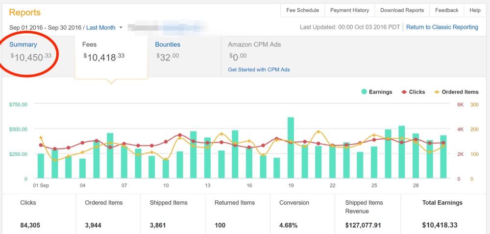 รายได้จากไซต์ Amazon Niche