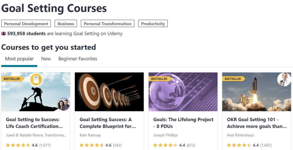 Hedef Belirleme için Udemy Niş Örneği