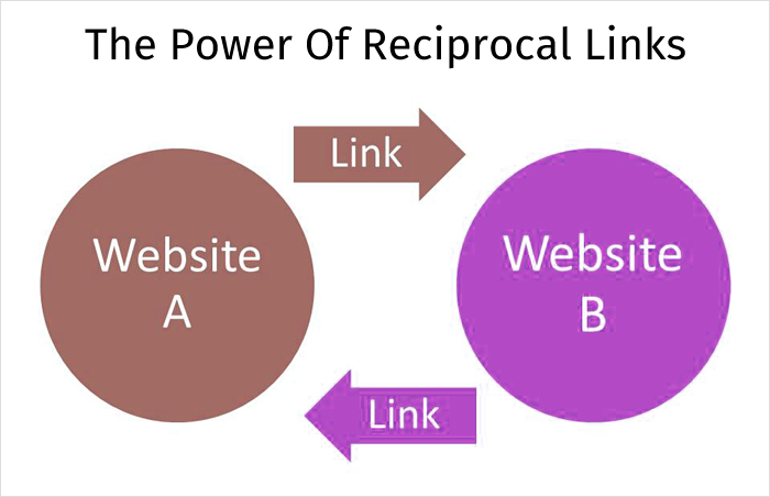 互惠链接的力量