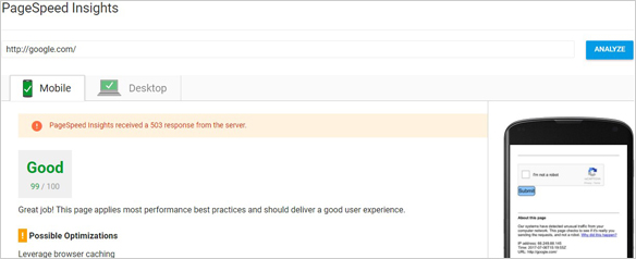 Google page speed analysis