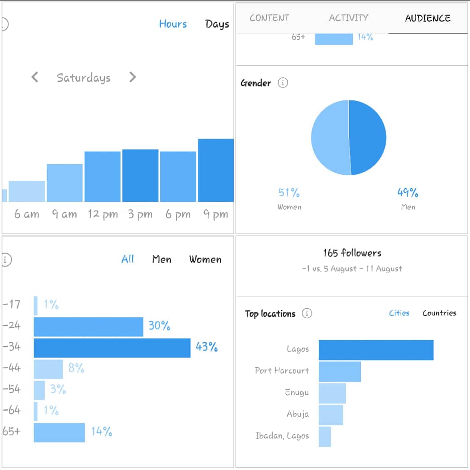 gagner de l'argent en ligne en utilisant des stratégies de marketing numérique [Instagram Insights]