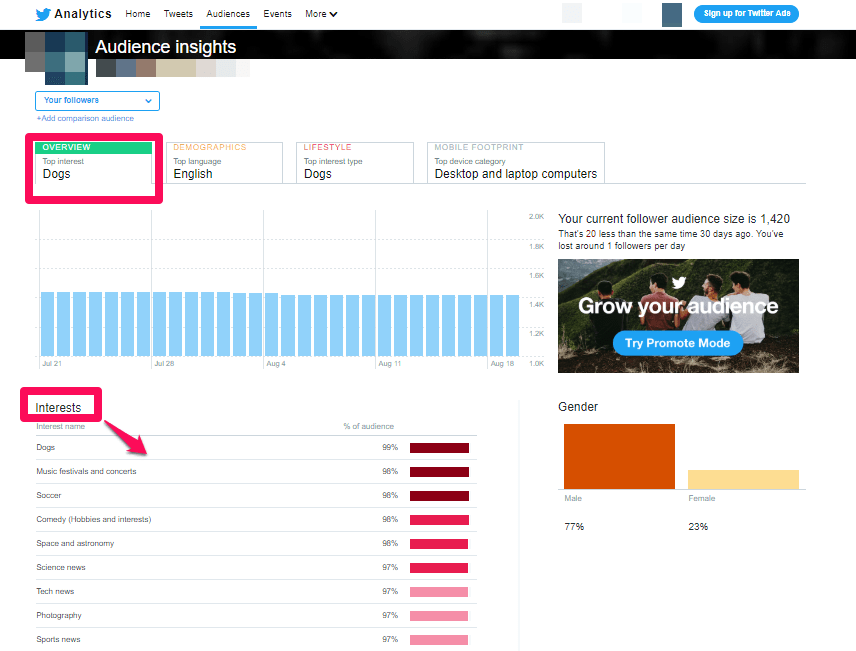 gagner de l'argent en ligne en utilisant des stratégies de marketing numérique [analyse d'audience Twitter]