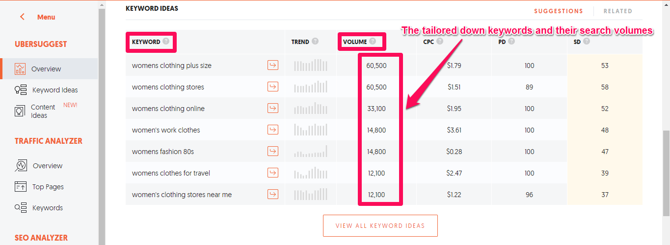 Gagner de l'argent en ligne en utilisant le marketing numérique (vlogging)