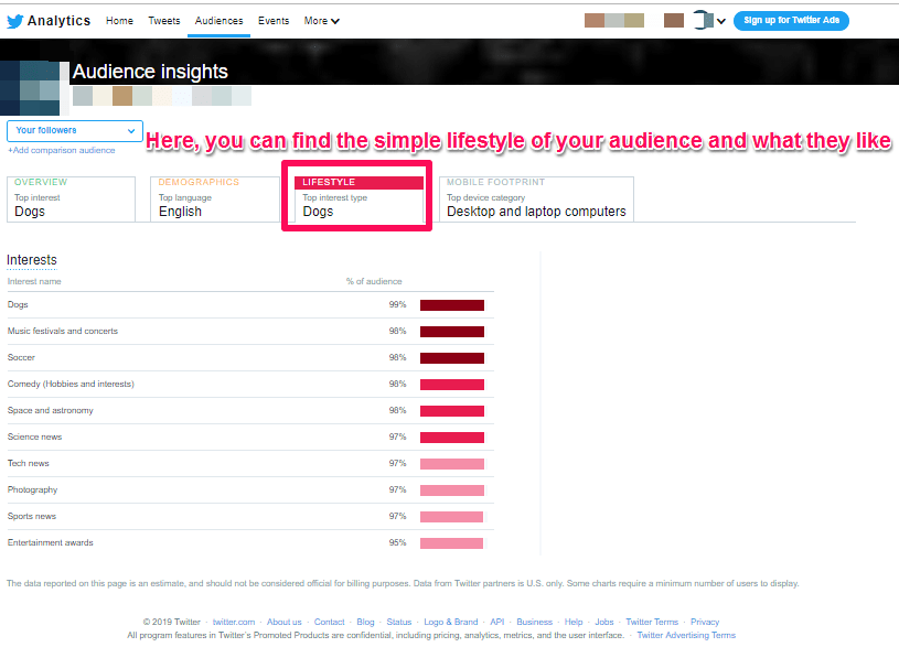 gagner de l'argent en ligne en utilisant des stratégies de marketing numérique [analyse d'audience Twitter]