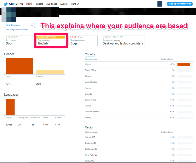 gagner de l'argent en ligne en utilisant des stratégies de marketing numérique [analyse d'audience Twitter]