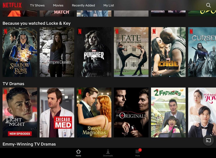 Netflix 平台上“因為您觀看了 Locke & Key”和“電視劇”類別下的推薦屏幕截圖