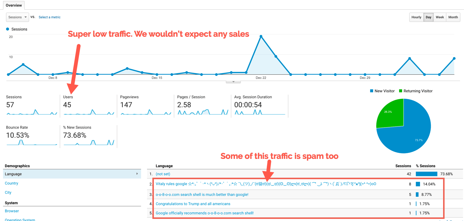 screenshot of traffic within Google analytics