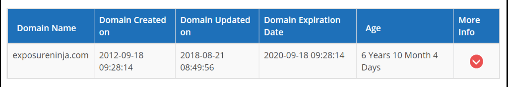 Tangkapan layar alat pemeriksa usia domain