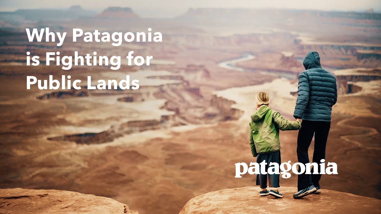 Patagonia public lands advert