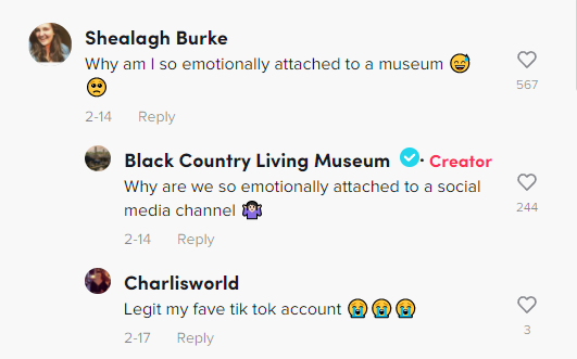 Zrzut ekranu z komentarzem TikTok w Black Country Living Museum