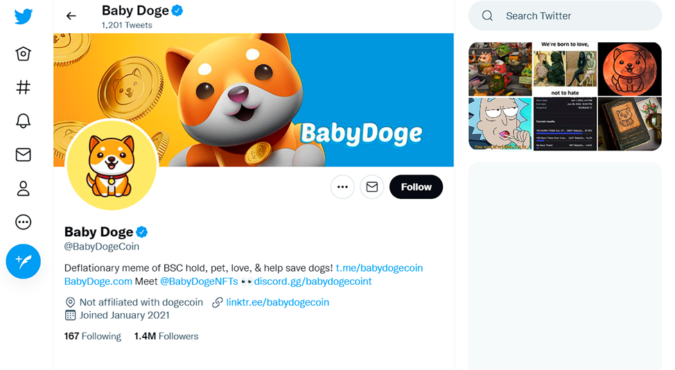 Twitter oficial do bebê Doge