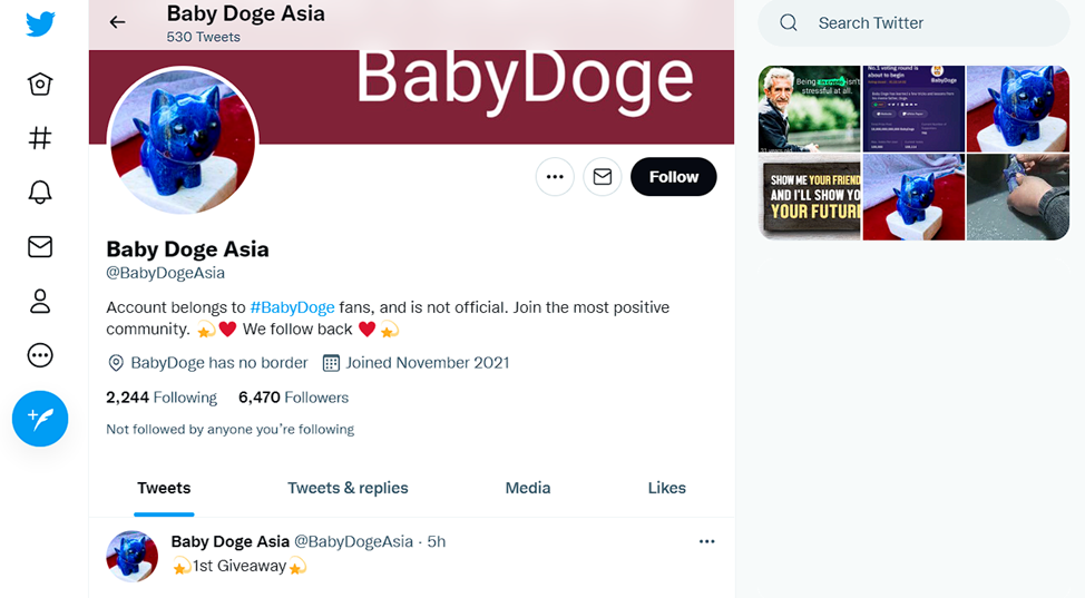 Bayi Doge Asia