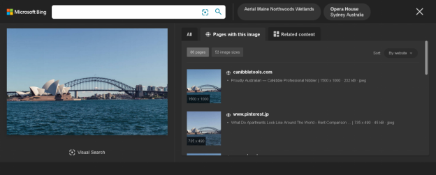 Bing Visual Search