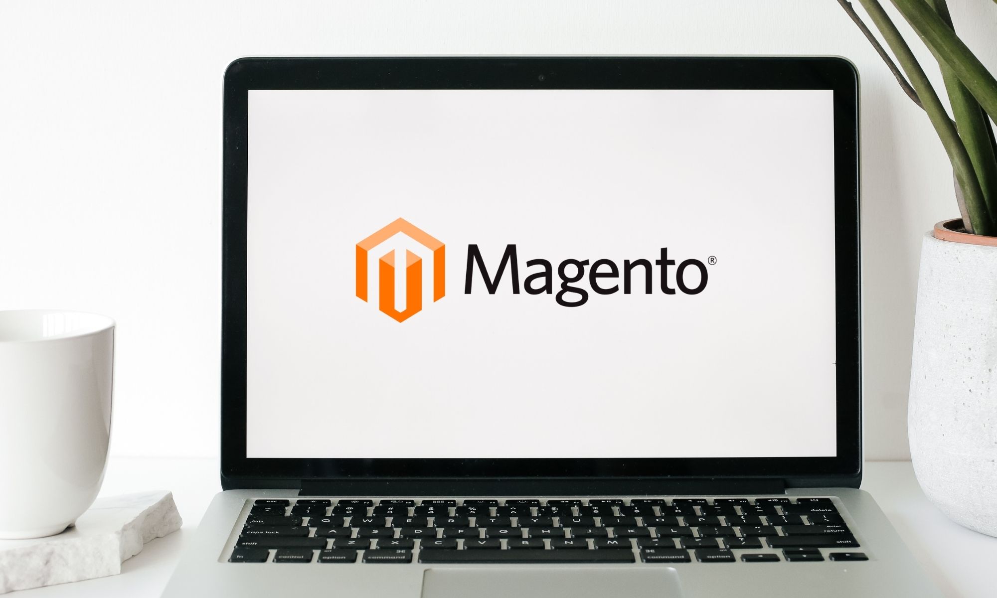 întreprindere magento