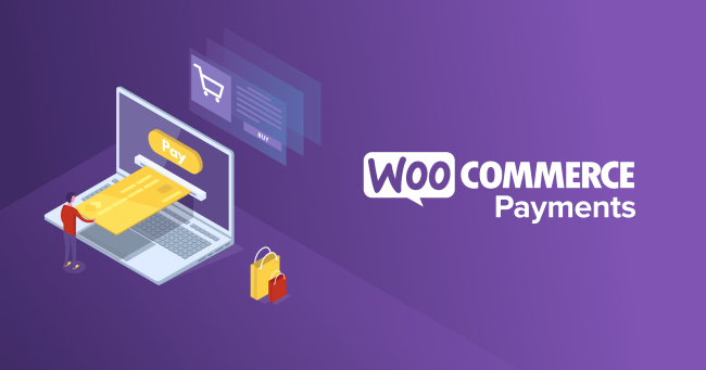 مدفوعات WooCommerce