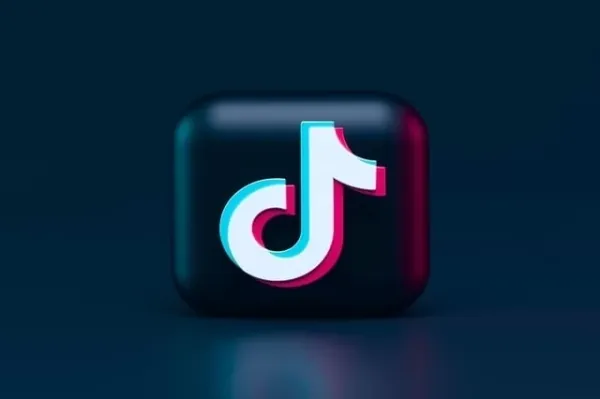 Cum să începi să câștigi bani pe TikTok, TikTok Video Marketing