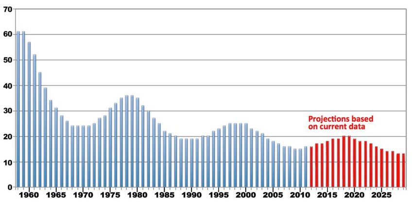 S&P の平均寿命