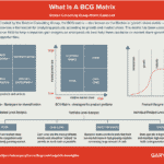 o que é matriz bcg