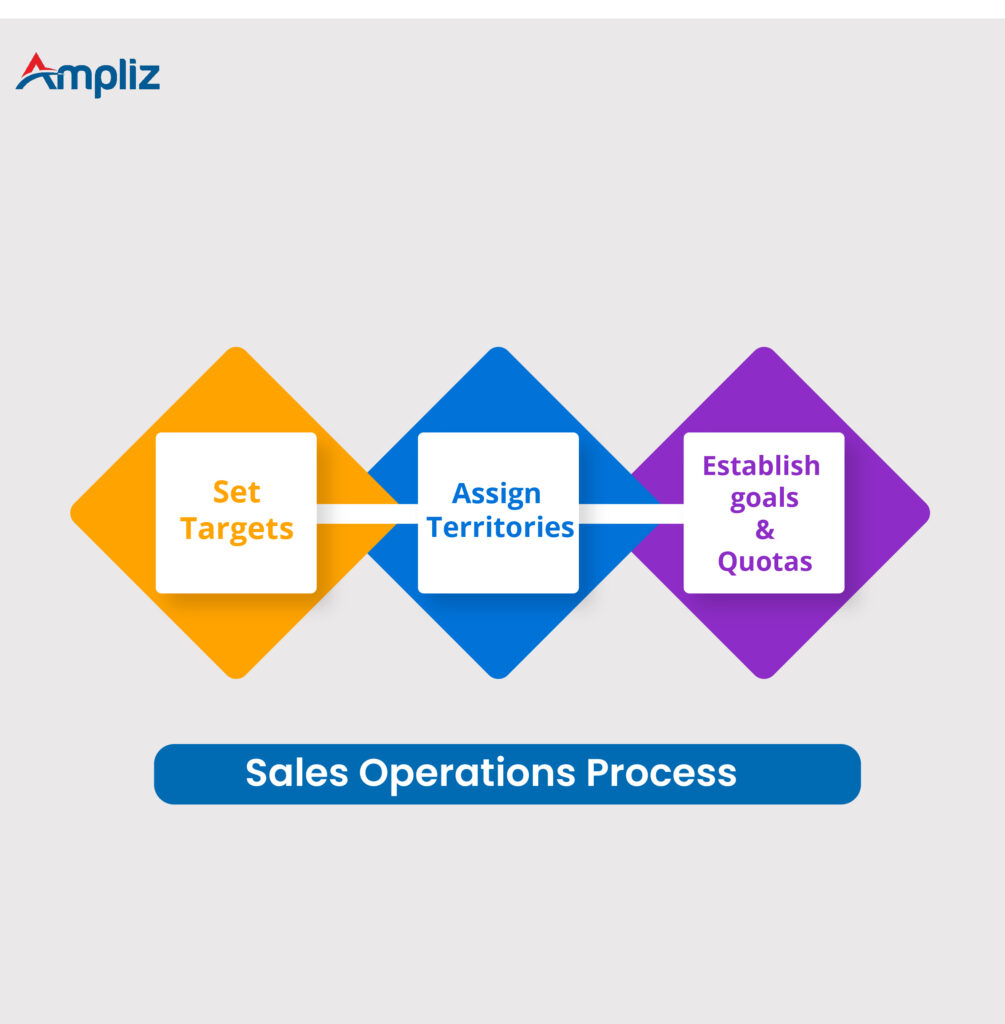 sales operation process in sales management