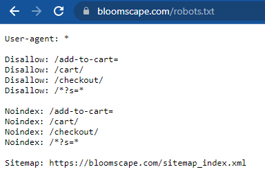 Captura de pantalla de un archivo Robots.txt