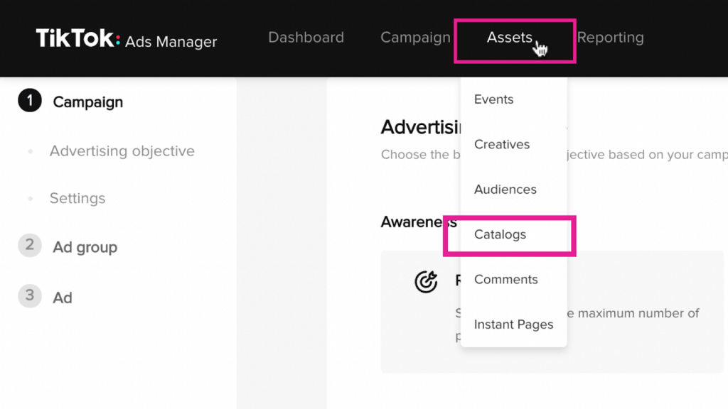 Cataloagele de active TikTok Ads Manager