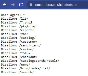 Robots txt dosyasının ekran görüntüsü