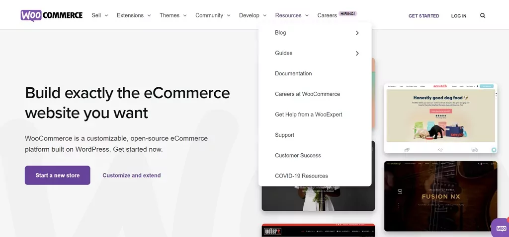 woocommerce web sitesi oluşturucu örneği