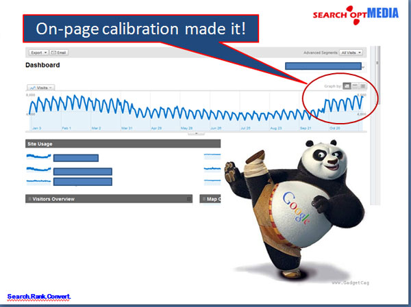 on page site audit panda success