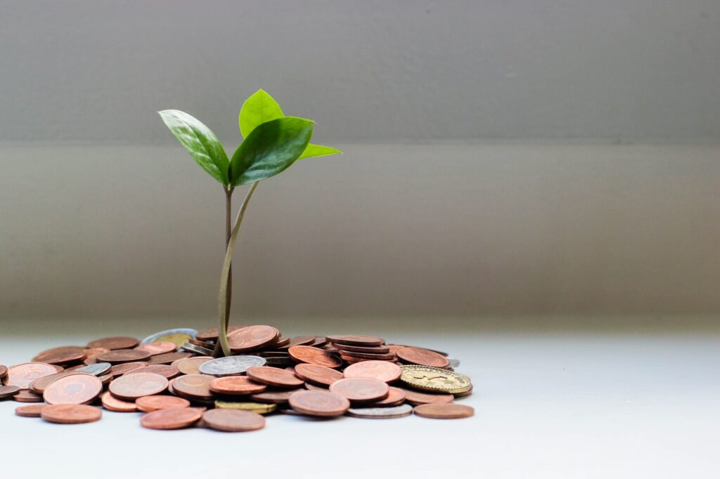 Arbre qui pousse de l'argent