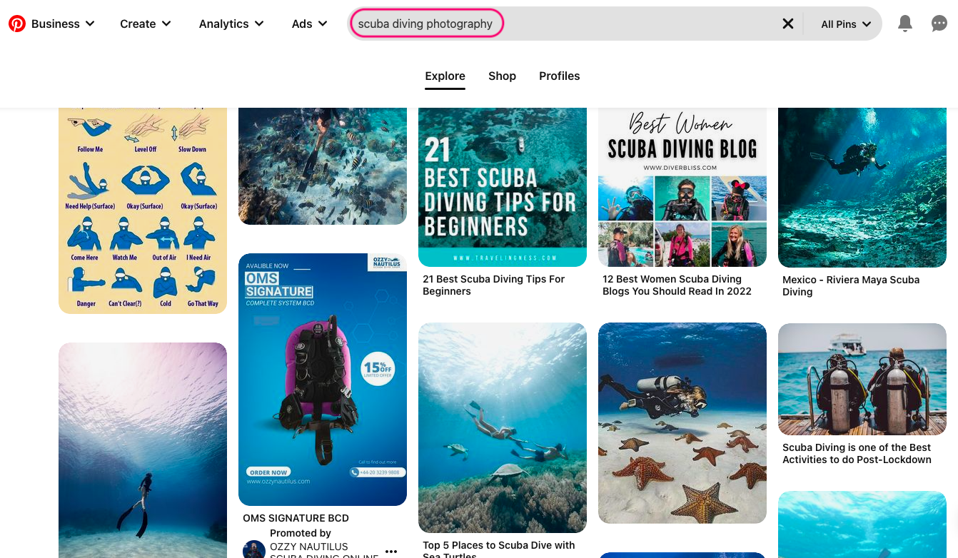 การตลาดภาพถ่ายใต้น้ำบน Pinterest