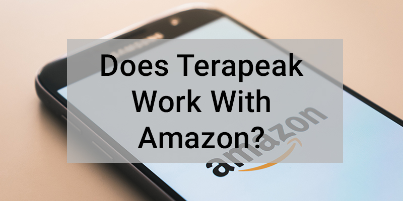 ¿Terapeak funciona con Amazon?