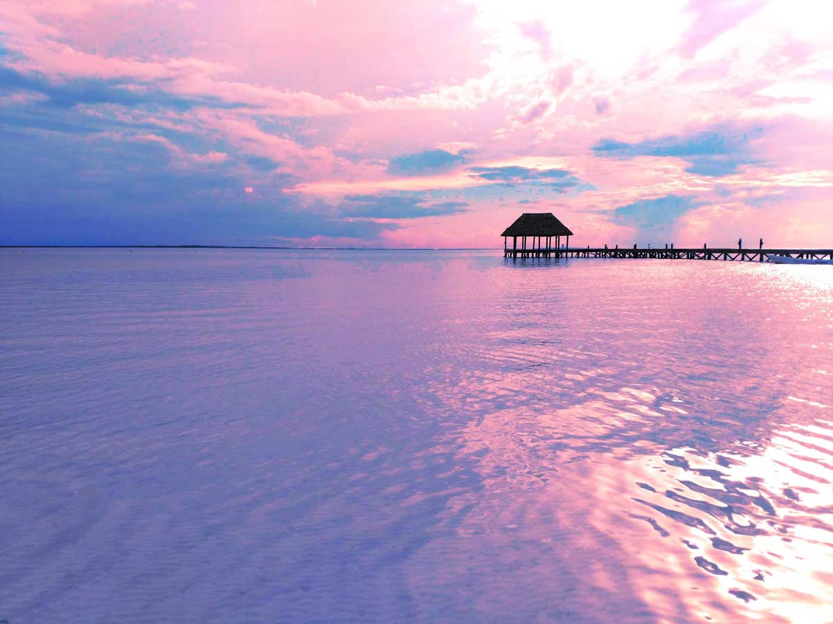 cena calmante com céu rosa suave refletindo no oceano.