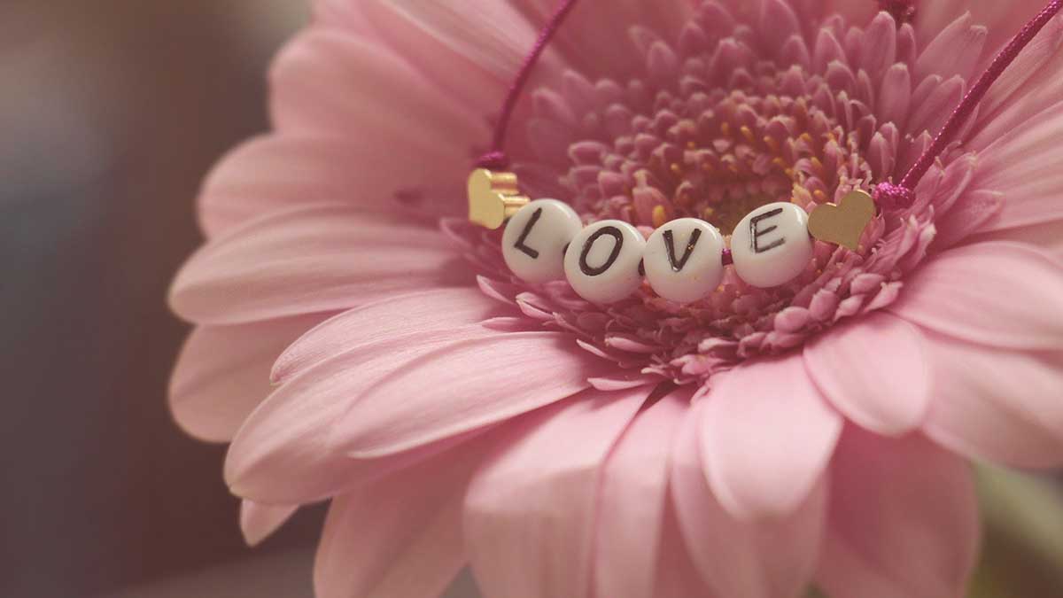 photo floue d'un collier de perles d'amour sur un zinnia rose.