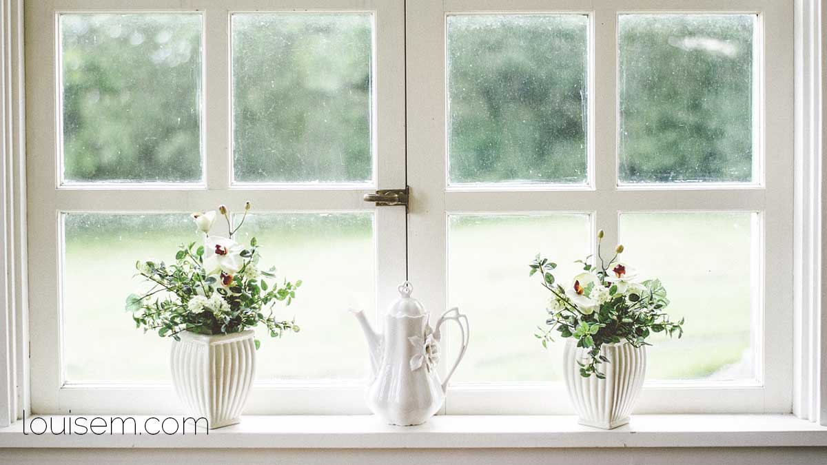 mirando hacia afuera desde una habitación blanca con rosas blancas en los alféizares de las ventanas.