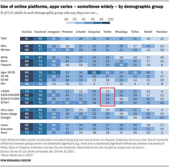 demografia do público de mídia social