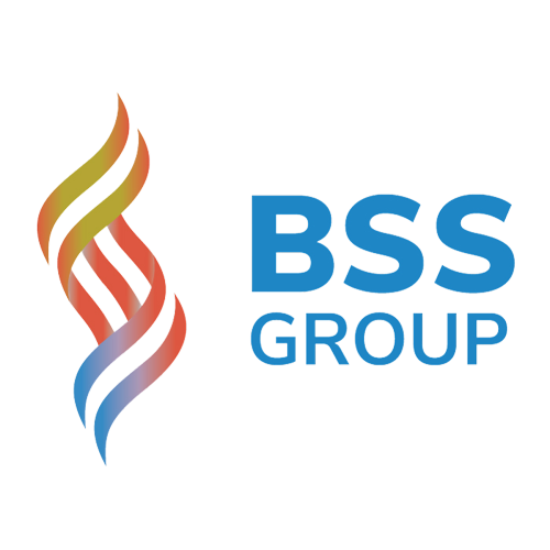 Grup BSS