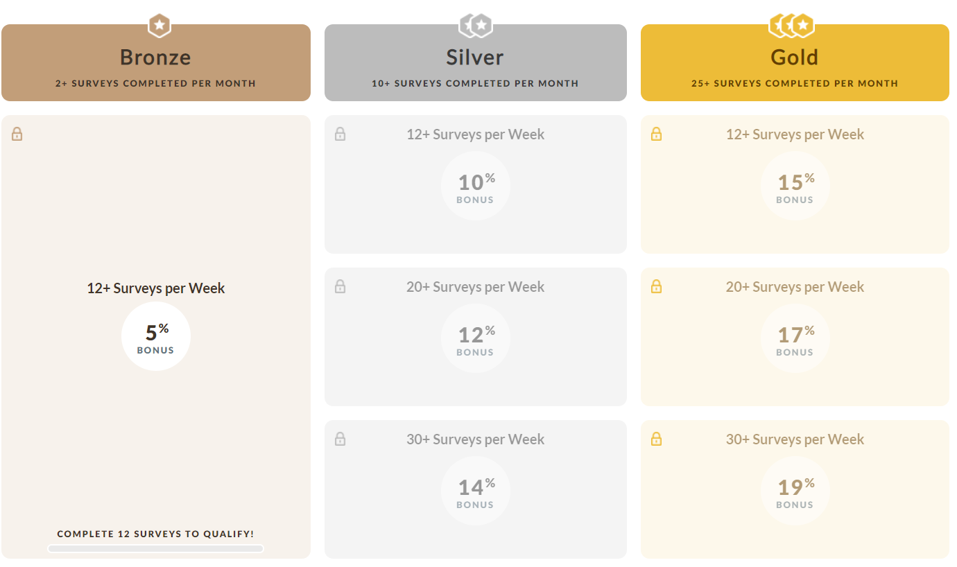 ejemplos de diferentes niveles en Branded Surveys