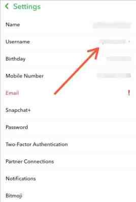 appuyez sur l'option Nom d'utilisateur pour changer le nom d'utilisateur de Snapchat.