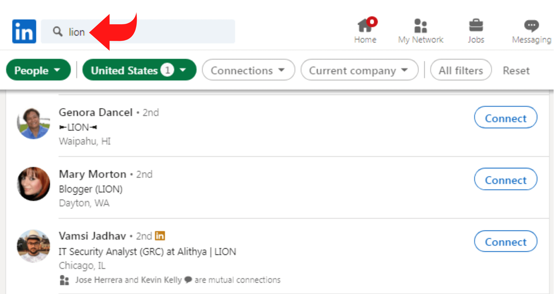 lion-linkedin-search