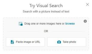 Recherche d'image inversée Utilisation de Bing pour la recherche d'image inversée de Google