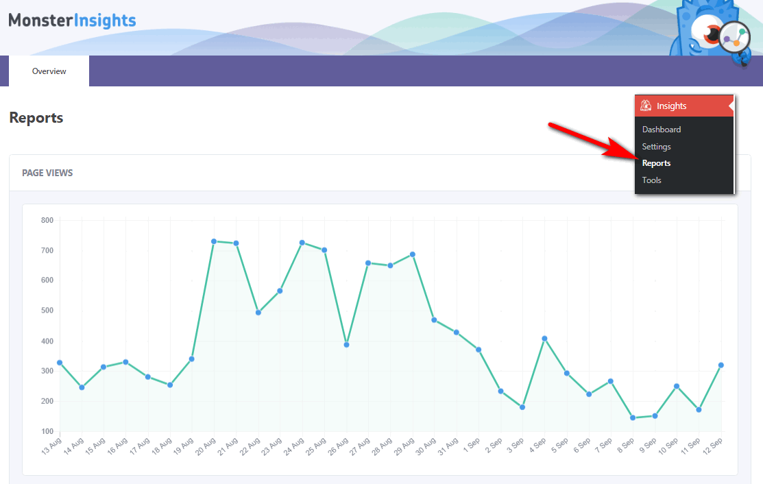 Google analytics reports on MonsterInsights dashboard