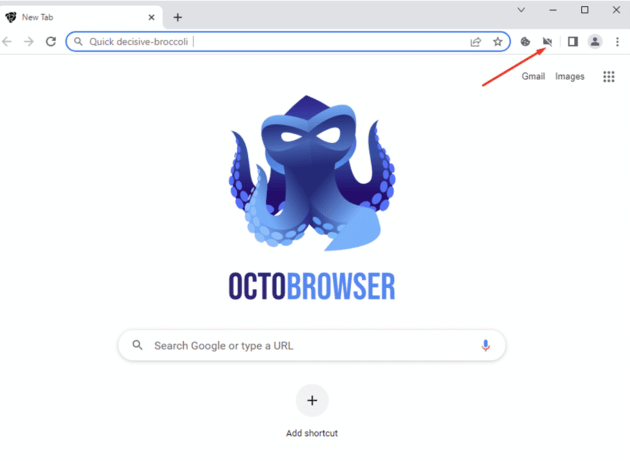 octo-browser-video-spoofing