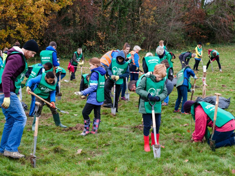 des arbres pour les villes