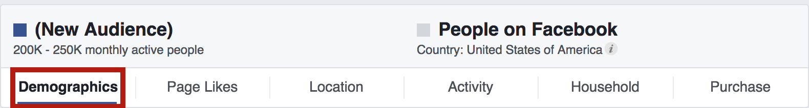 facebook-audience-insights-strumento-demografico