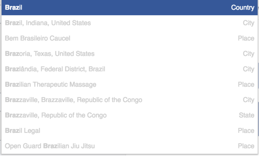 search-box-facebook-audience-insights-strumento-localizzatore-geografico