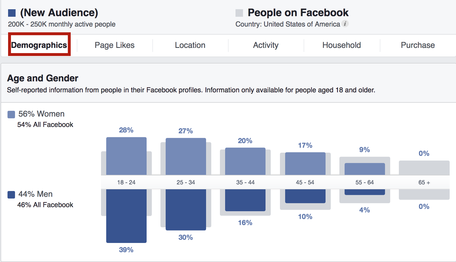 dati demografici-2-tab-facebook-audience-insights-tab