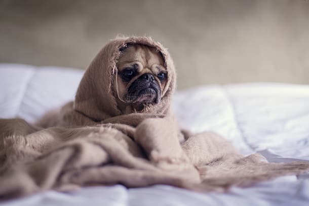 Citas cansadas con las que puede relacionarse (pero también obtener un impulso de energía)