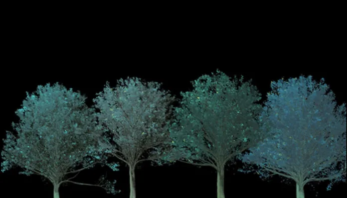 Bioluminescent trees Technological Inventions